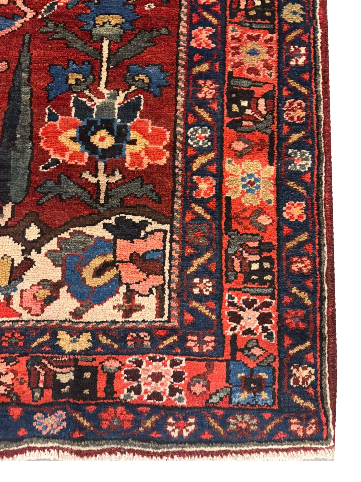 Bakhtiari Rug | 4'6" x 6'8" - photo 5
