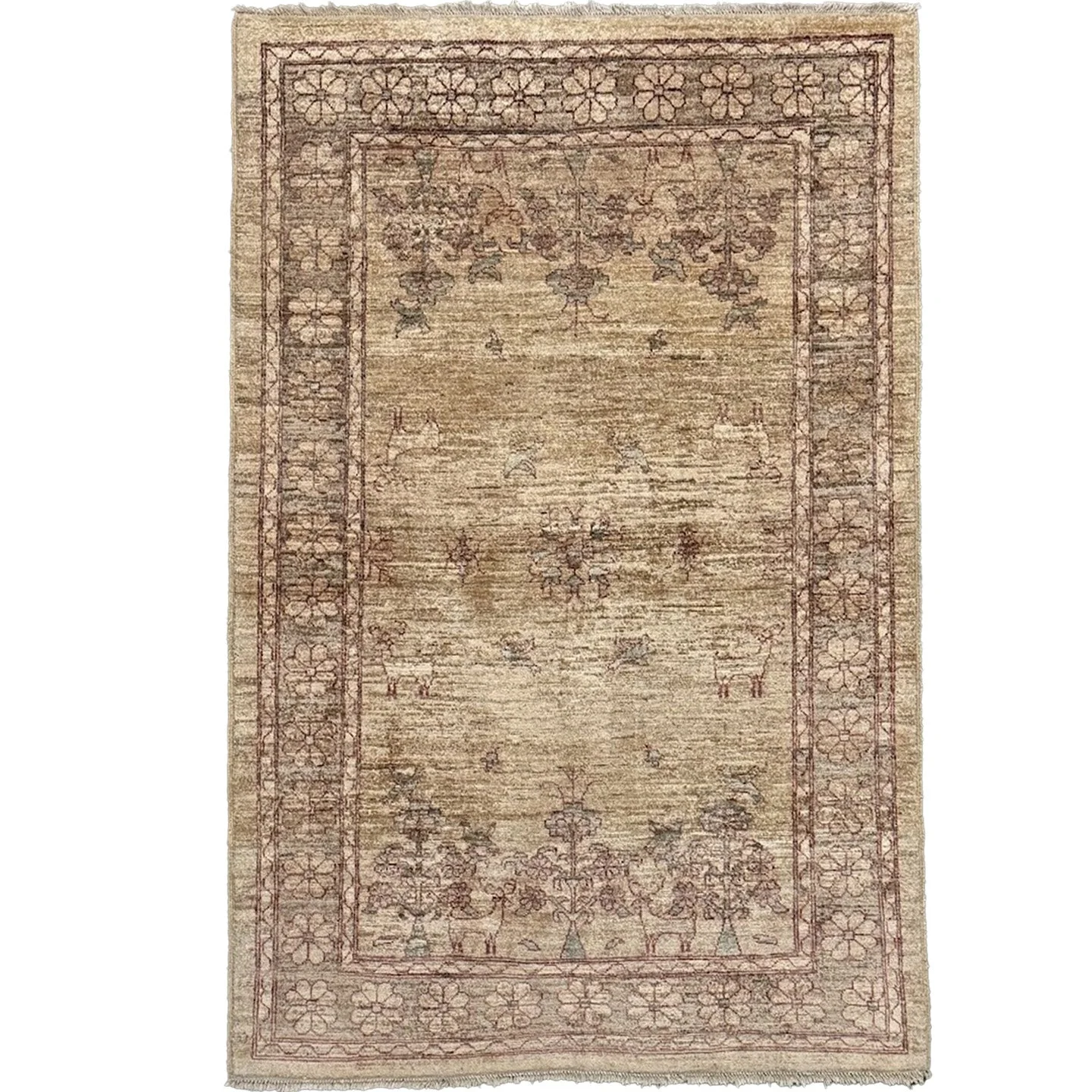 Agra Rug | 4'7" X 6'6"