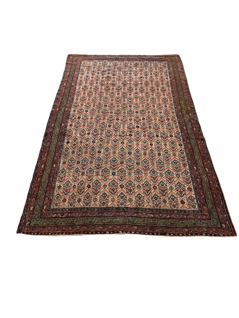 Antique Fine Malayer Rug | 5'6" X 9'3" - photo 3