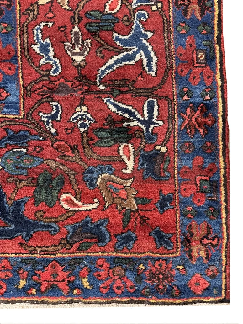 Antique Bakhtiari Rug | 12' X 19' - photo 6